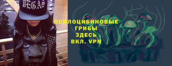 бошки Богородицк
