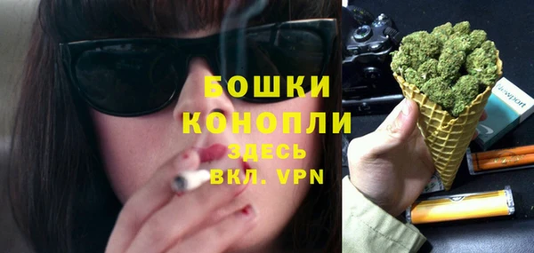 спиды Богородск