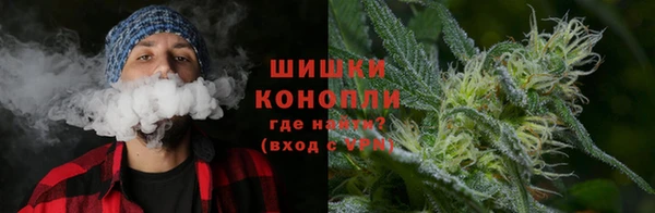 спиды Богданович