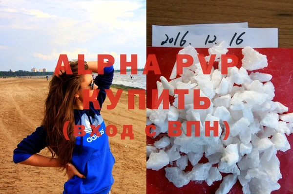 спиды Богородск