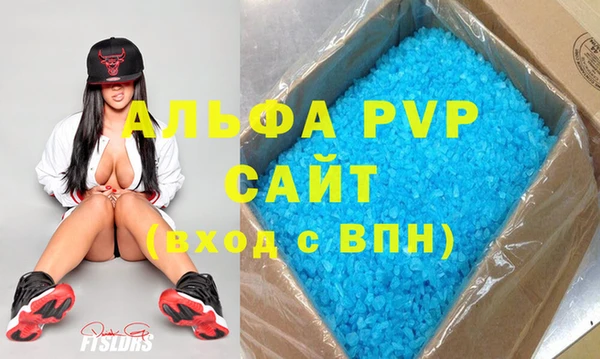 спиды Богданович