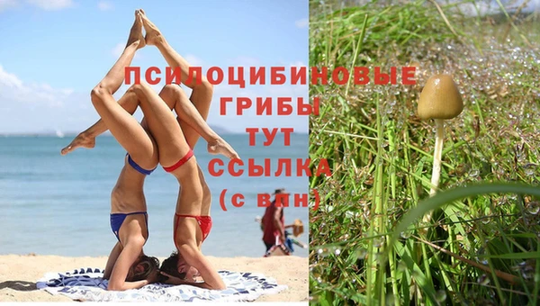 спиды Богородск